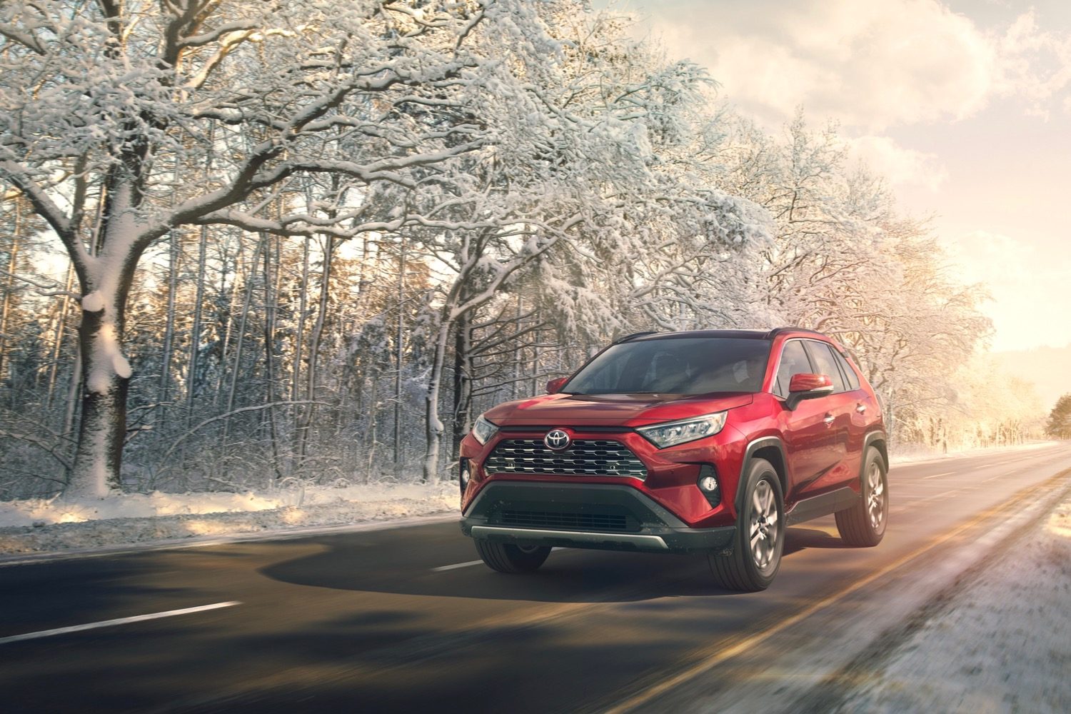 2019 Toyota RAV4