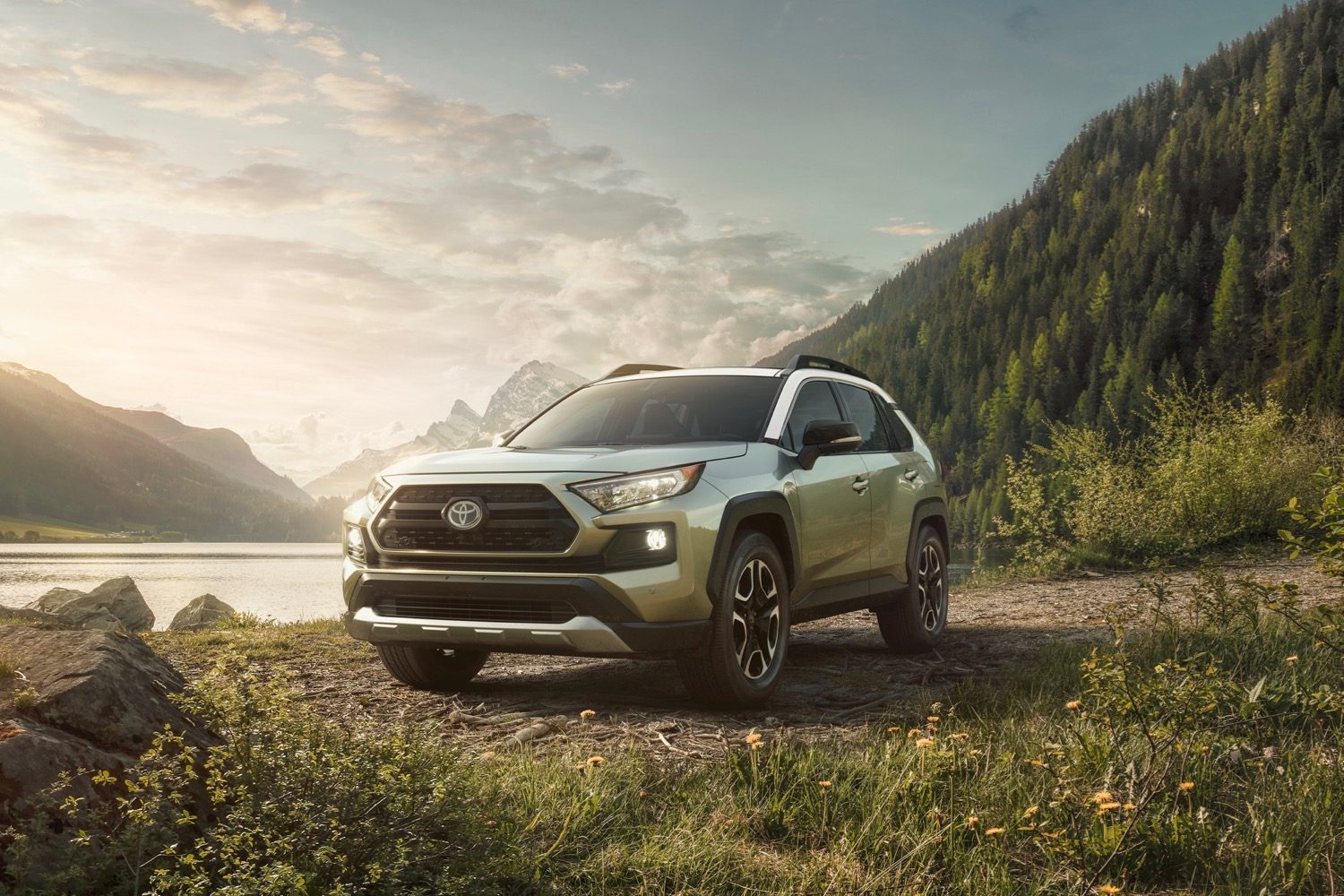 2019 Toyota RAV4
