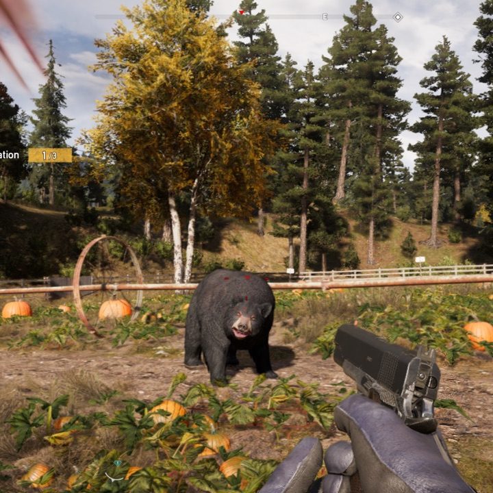 Far Cry 5 Bear