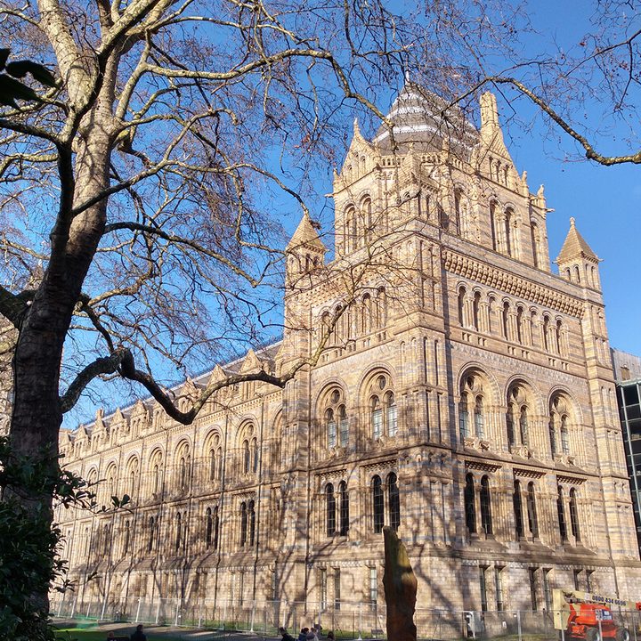 camera comparison Natural History Museum Blackberry Motion