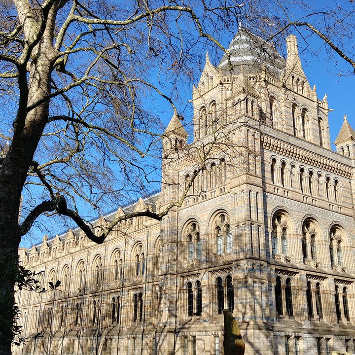 camera comparison Natural History Museum LG G6