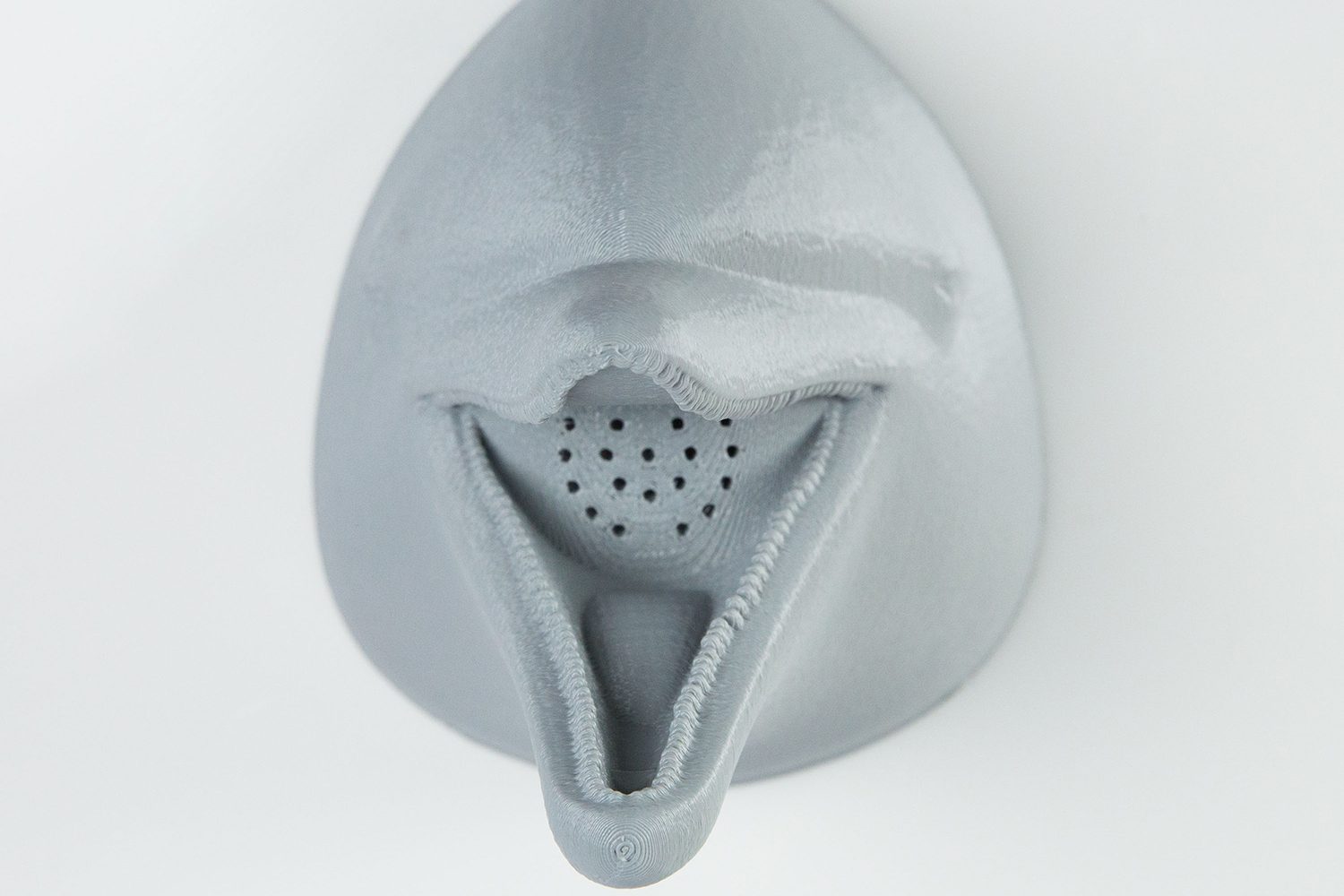 zooheads showerheads dolphin 6