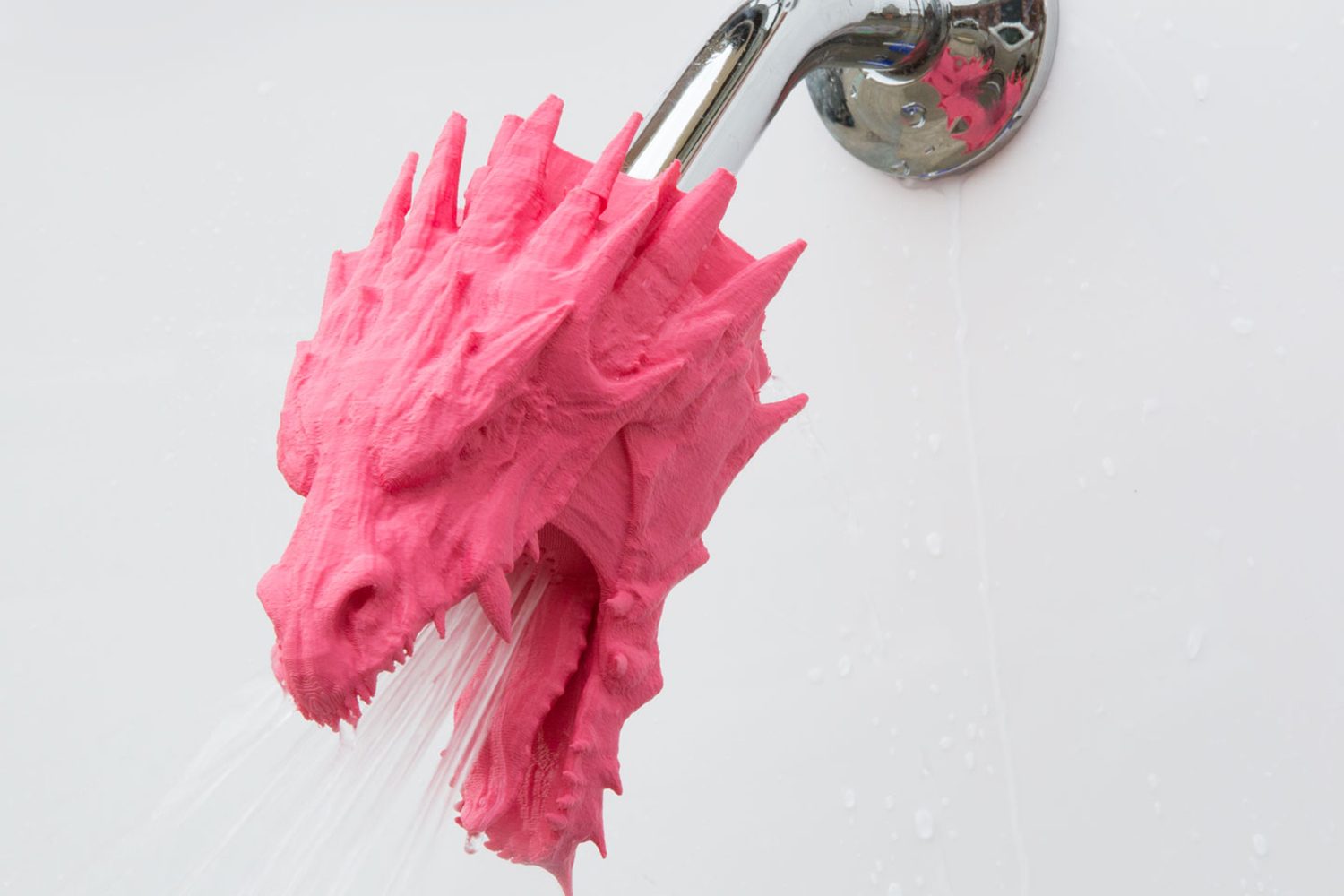 zooheads showerheads dragon 2