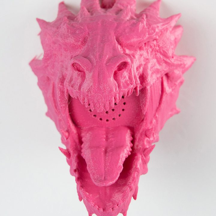 zooheads showerheads dragon 6