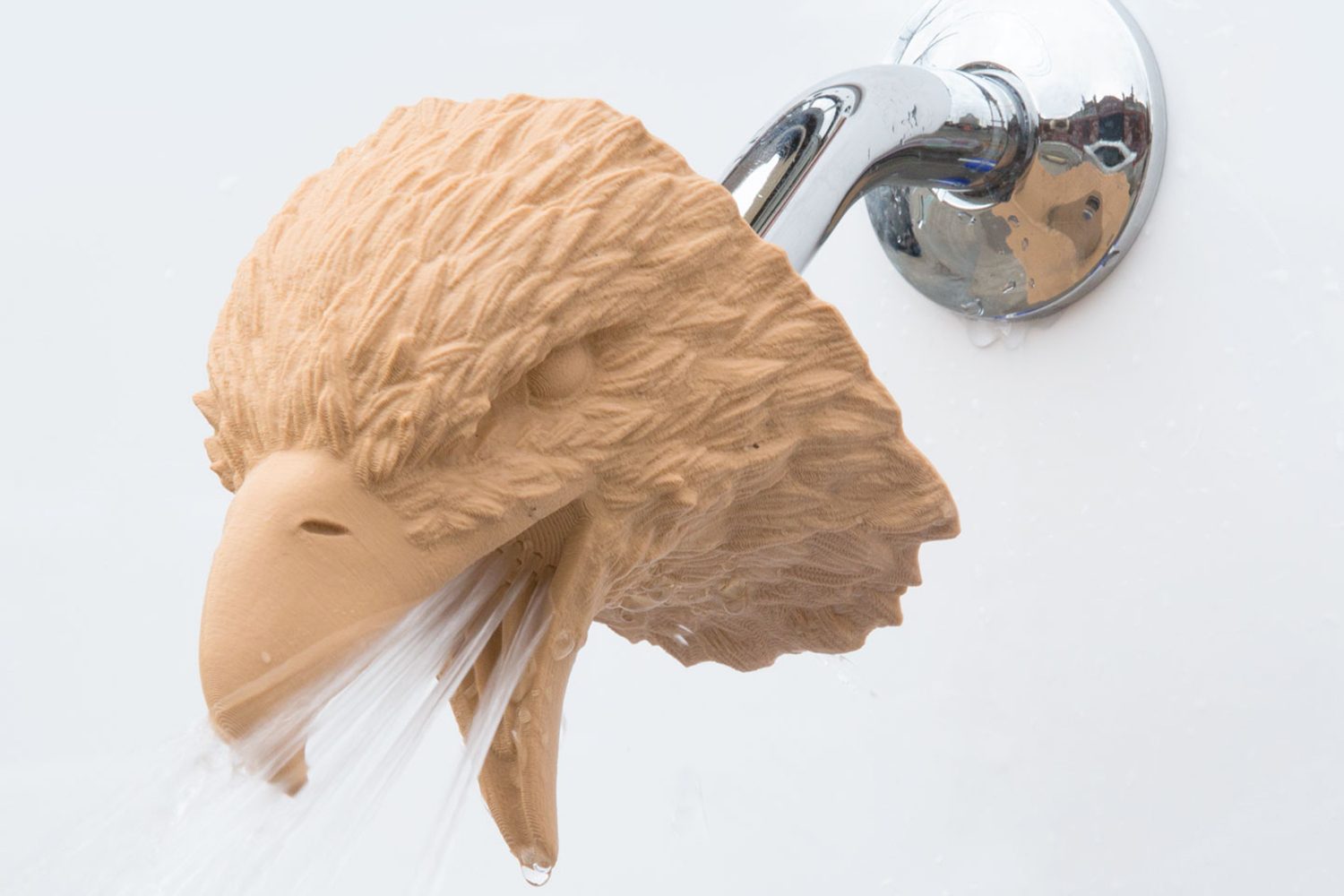 zooheads showerheads eagle 2