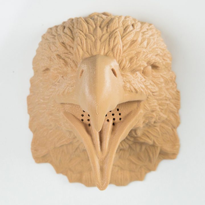 zooheads showerheads eagle 6
