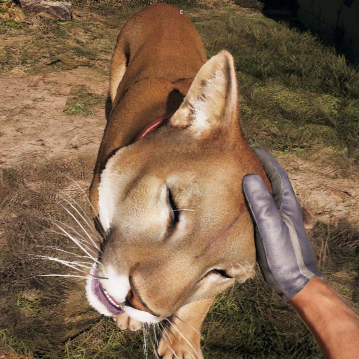 Far Cry 5 Lion