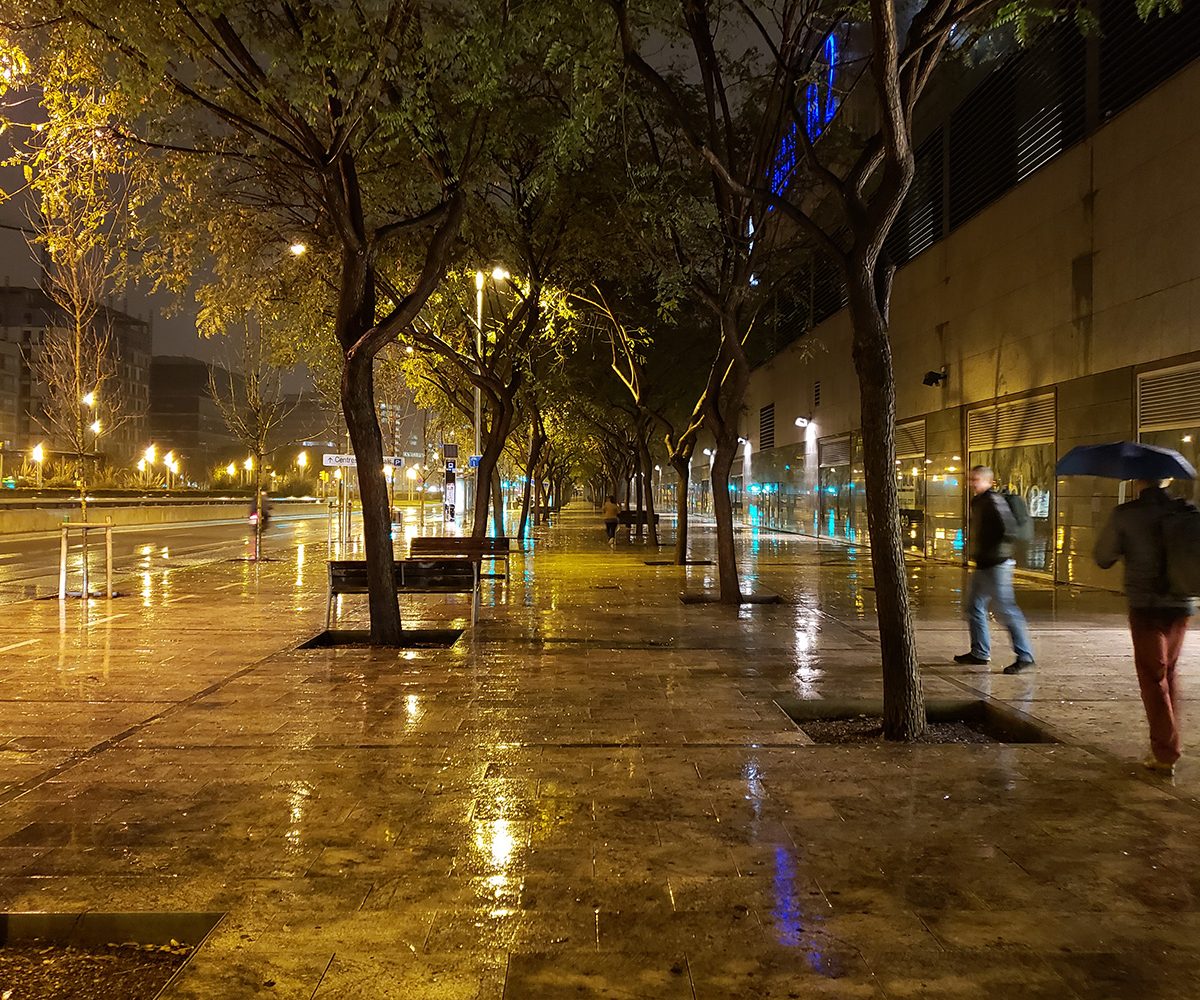 galaxy s9 camera test rain and trees