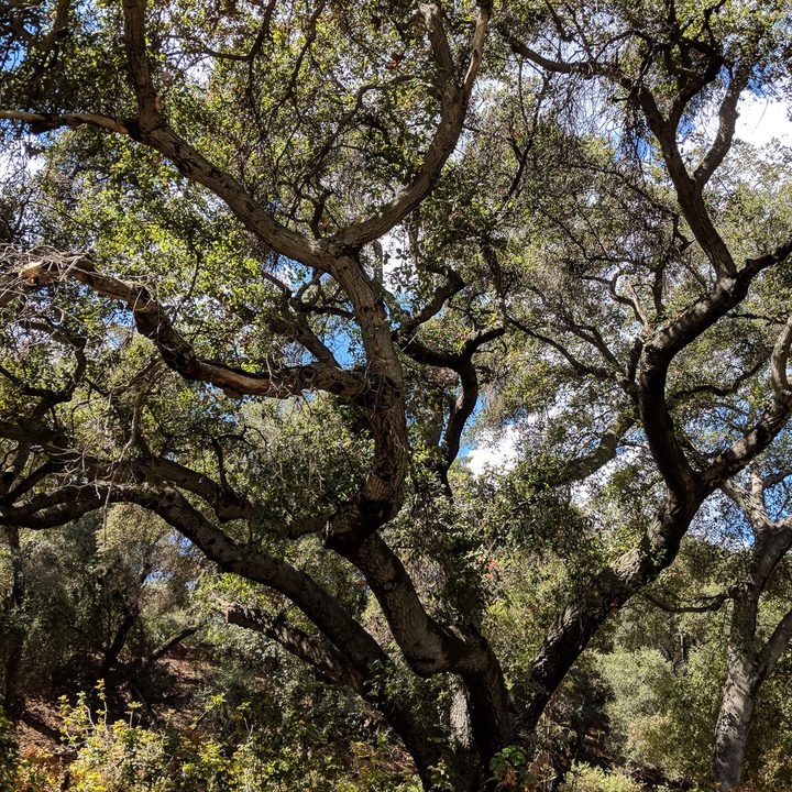 Google Pixel 2 Sample Photo HDR