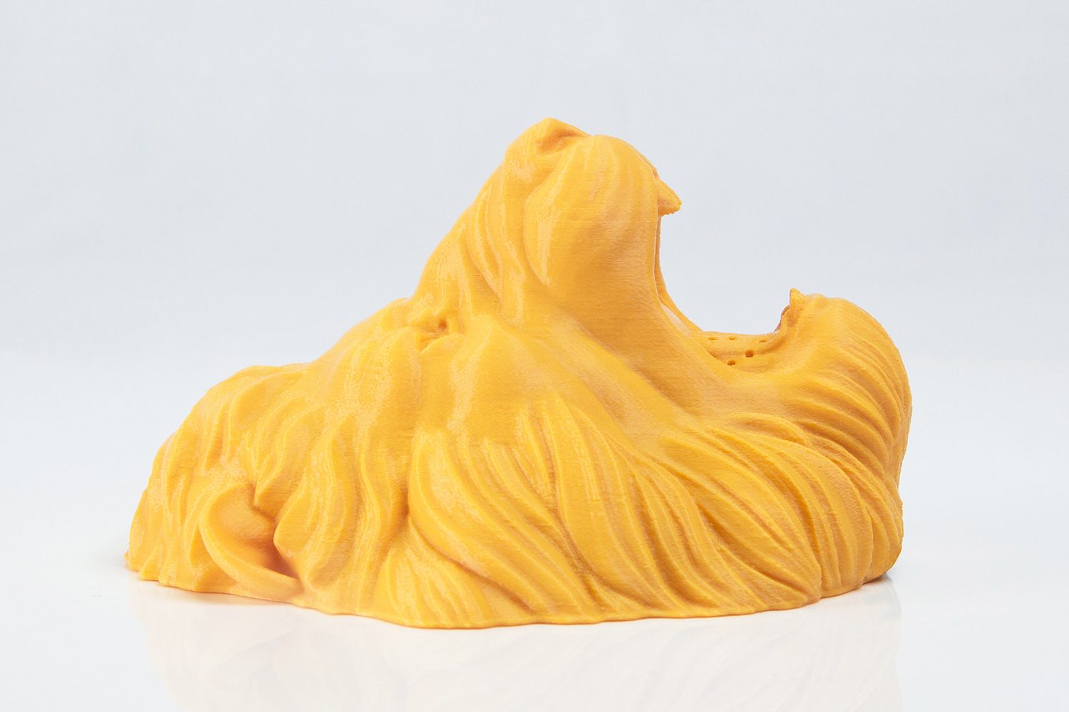 zooheads showerheads lion 5
