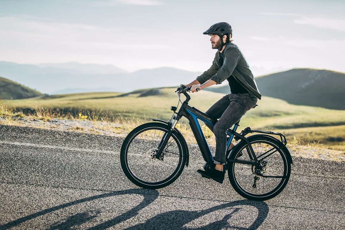 Riese & M&uuml;ller ebikes