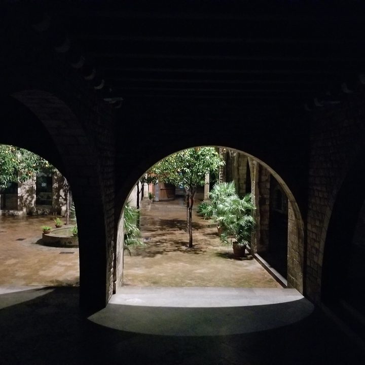 samsung galaxy s9 plus vs s8 note 8 s7 edge camera shootout garden