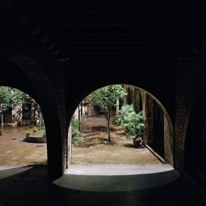 samsung galaxy s9 plus vs s8 note 8 s7 edge camera shootout garden