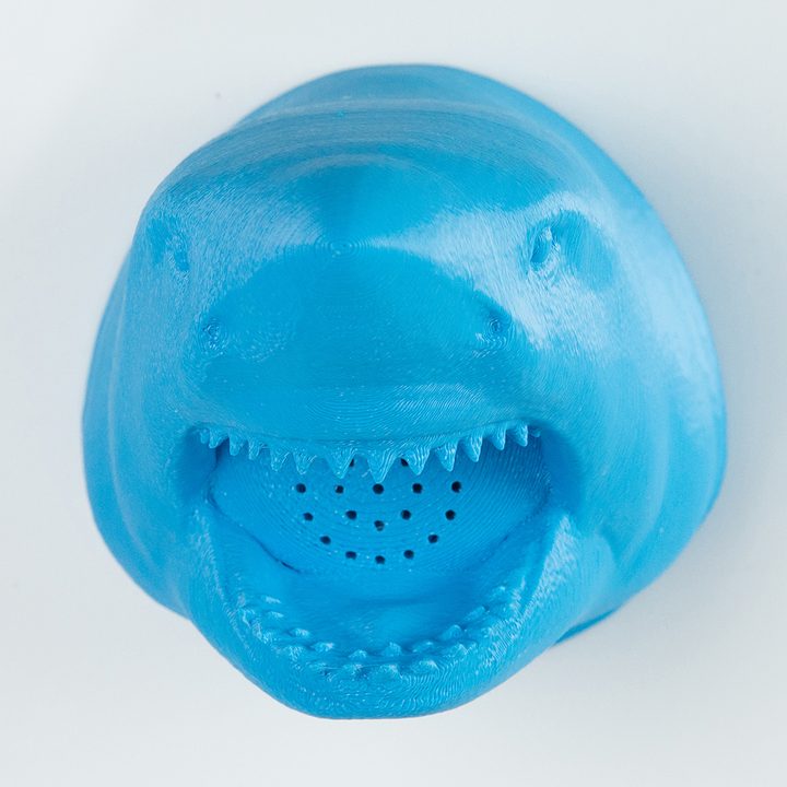 zooheads showerheads shark 6