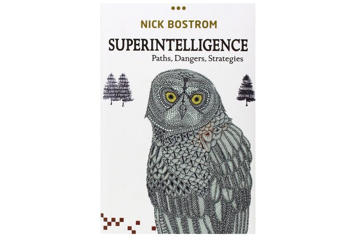 Superintelligence: Paths, Dangers, Strategies