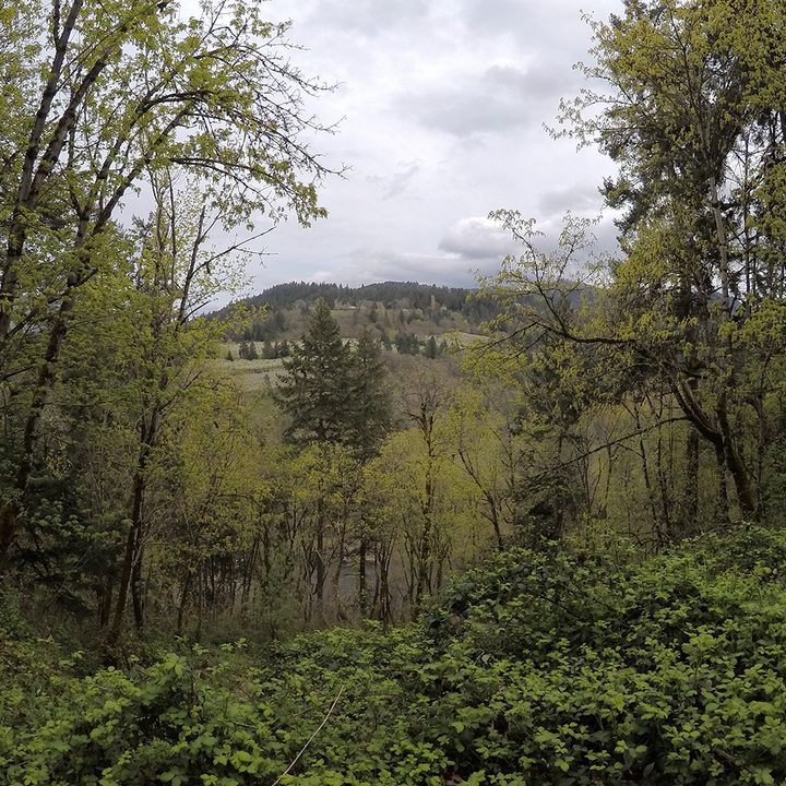gopro hero 2018 review go pro sample images 1