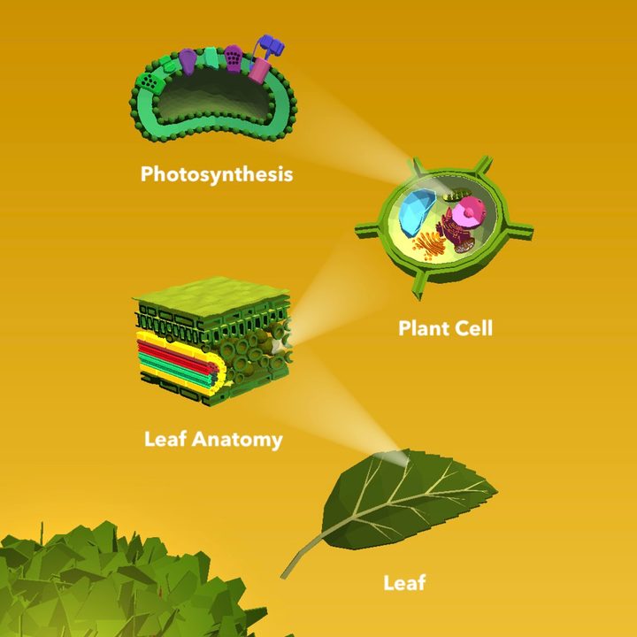 app attack namoo wonders of plant life 1