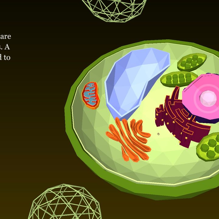 app attack namoo wonders of plant life 11