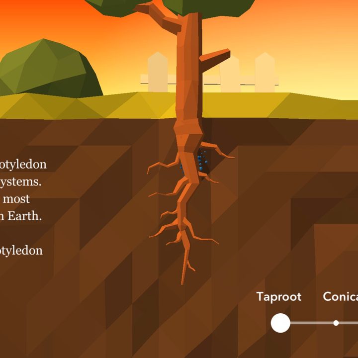 app attack namoo wonders of plant life 12