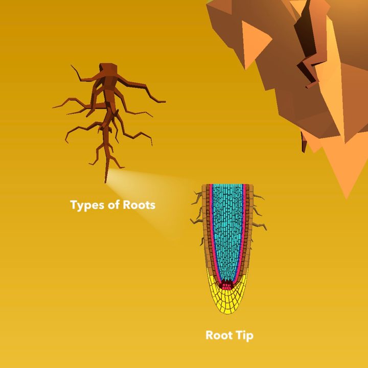 app attack namoo wonders of plant life 3