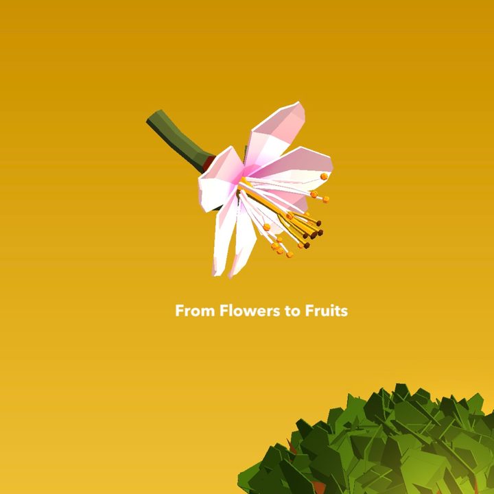 app attack namoo wonders of plant life 4