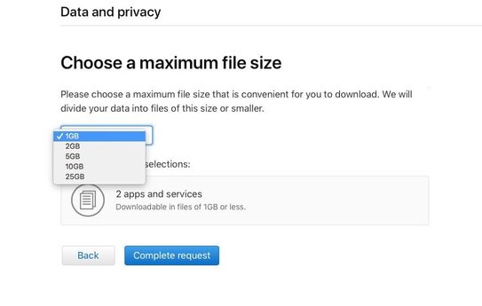 Apple Data File Size