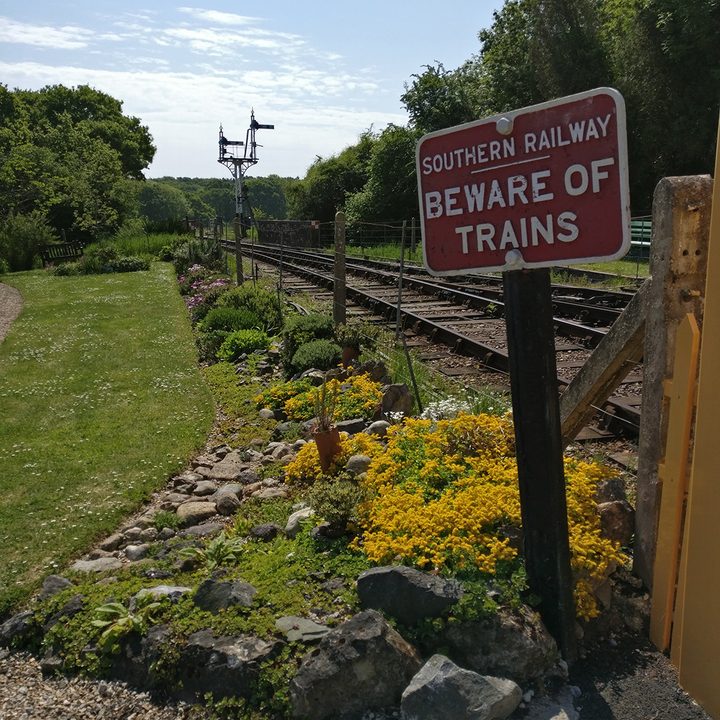 oneplus 6 5t 5 3t camera shootout beware of trains