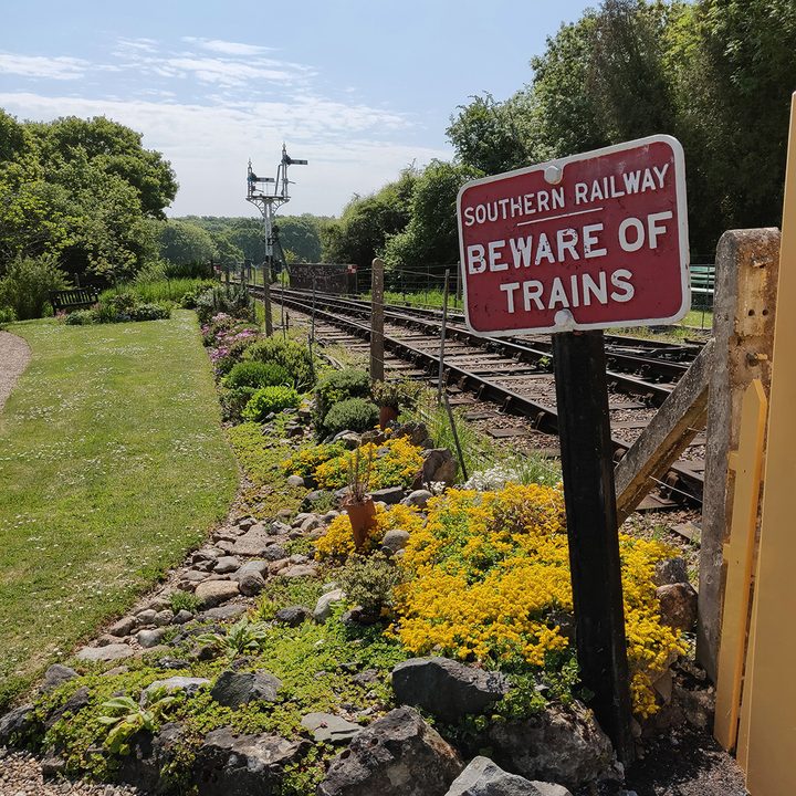 oneplus 6 5t 5 3t camera shootout beware of trains