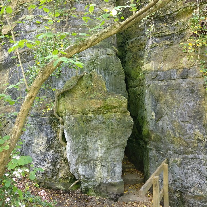oneplus 6 5t 5 3t camera shootout chimney entrance