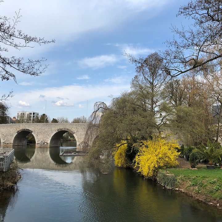 photo shootout p20 pro galaxy s9 iphone x pixel 2 bridge