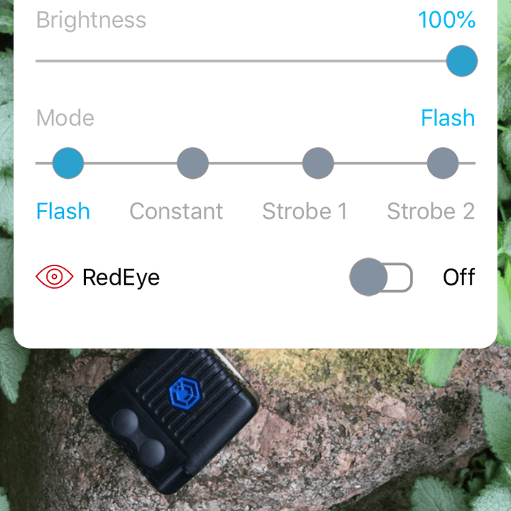 lume cube app 2412