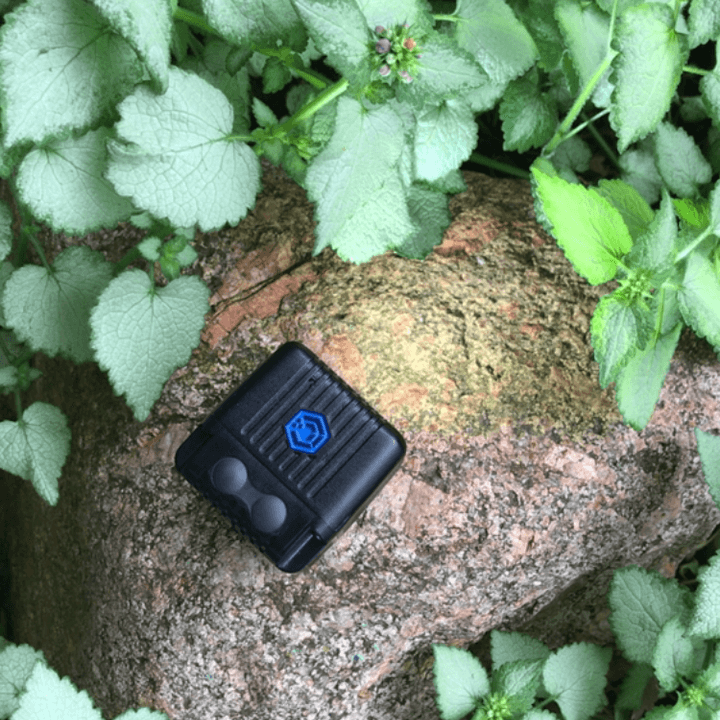 lume cube app 2413
