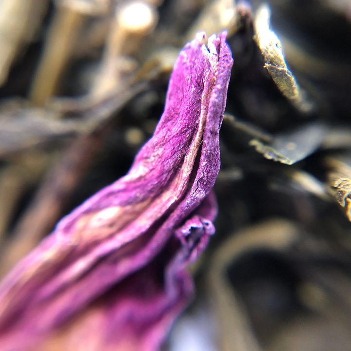 smartphone macro lens camera shootout tea olloclip