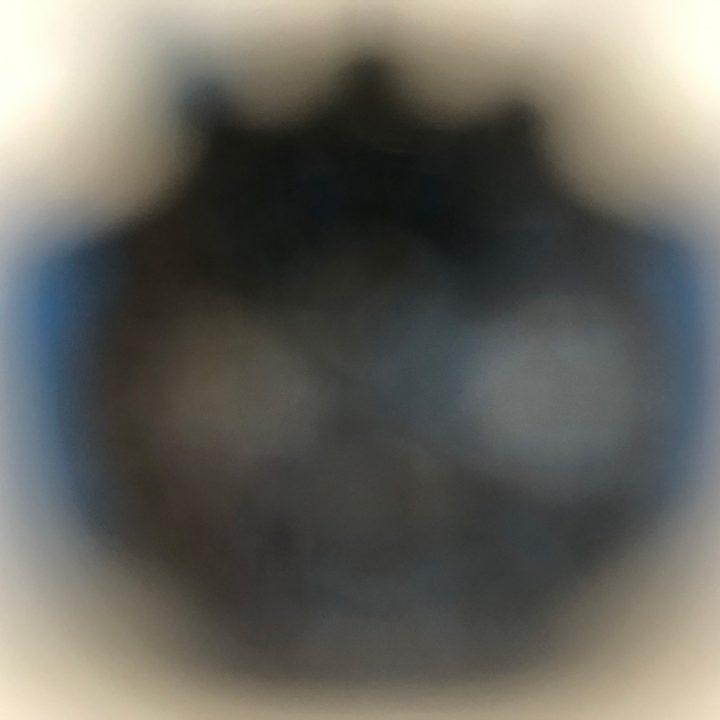 smartphone macro lens camera shootout watch olloclip