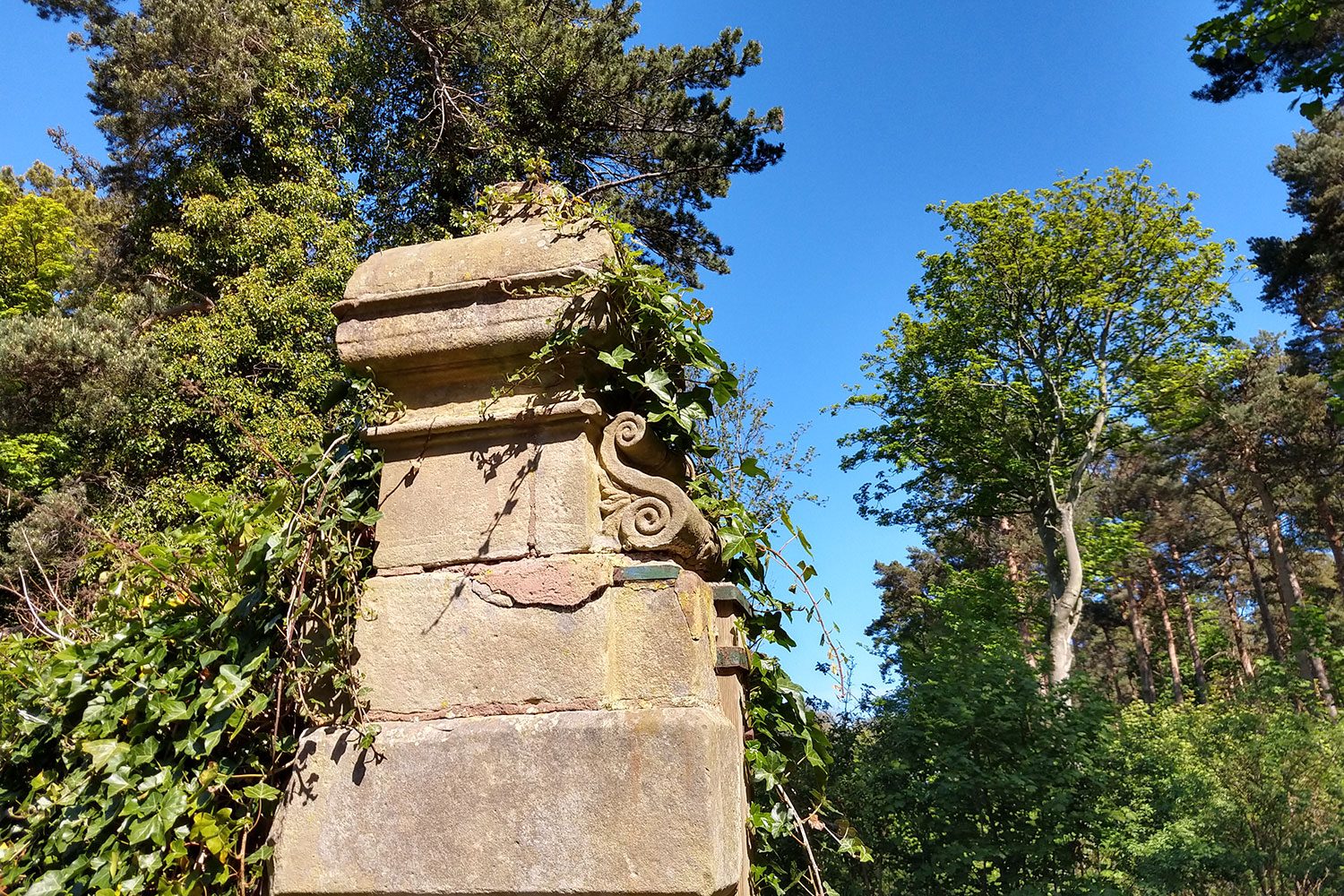 moto g6 plus review camera sample 6