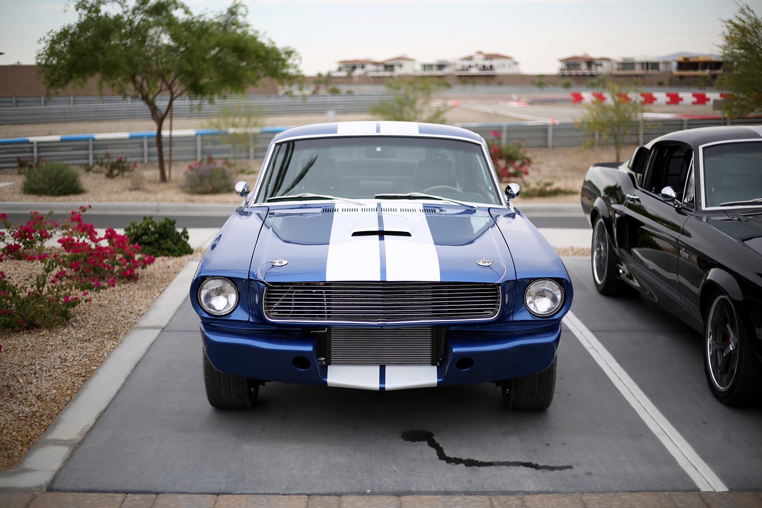 Ford Mustang GT