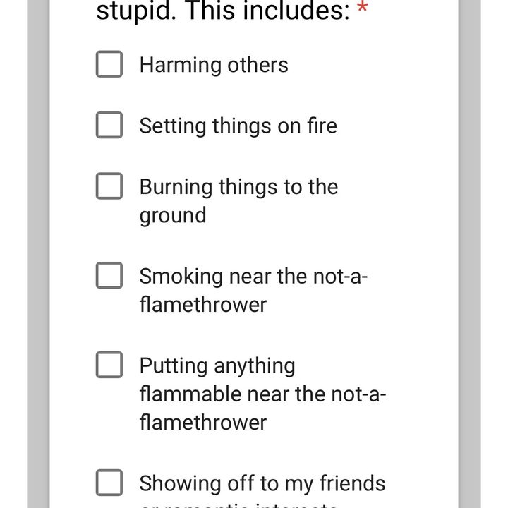 not a flamethrower terms and conditions naft3