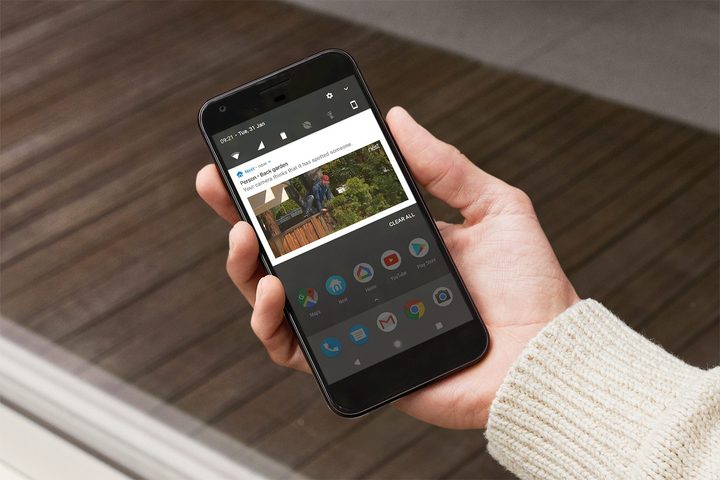 nest cam iq outdoor app