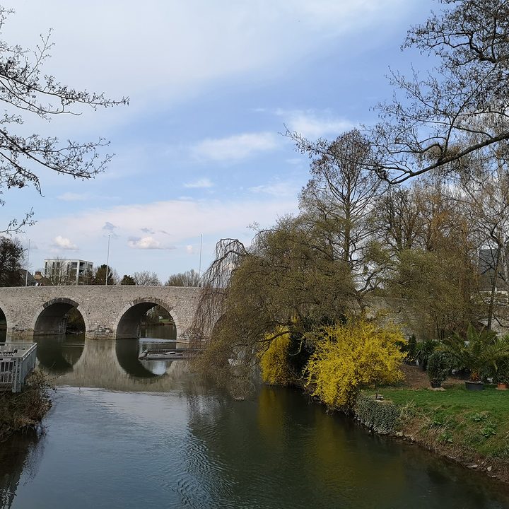 photo shootout p20 pro galaxy s9 iphone x pixel 2 bridge