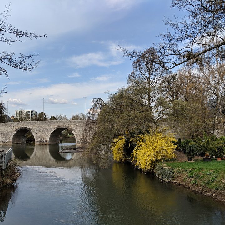 photo shootout p20 pro galaxy s9 iphone x pixel 2 bridge