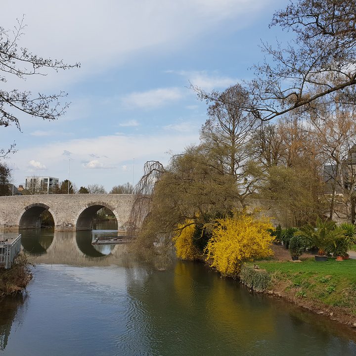 photo shootout p20 pro galaxy s9 iphone x pixel 2 bridge