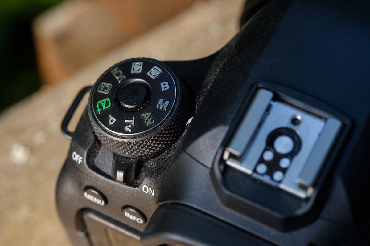 Canon EOS 6D Mark II review