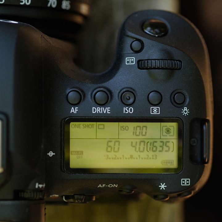Canon EOS 6D Mark II review