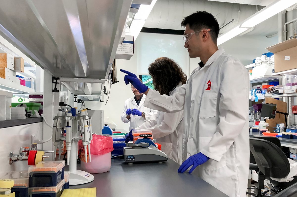 Catalog's DNA team in the lab