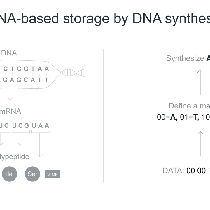 How Catalog synthesizes storage to DNA