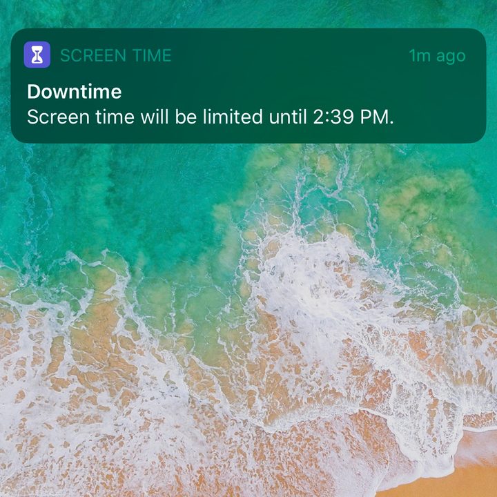 apple screen time and google digital wellbeing downtime 2