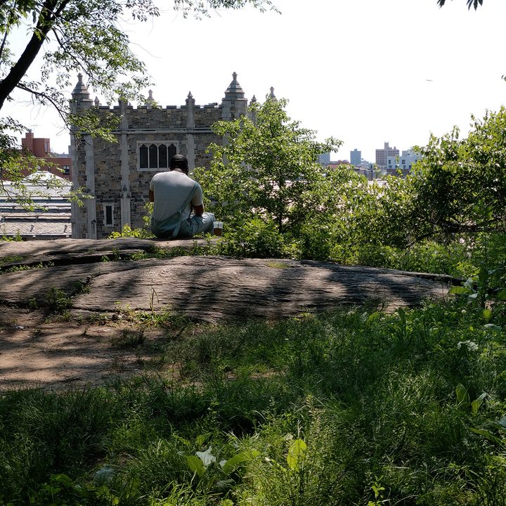htc u12 camera sample 2x optical zoom man