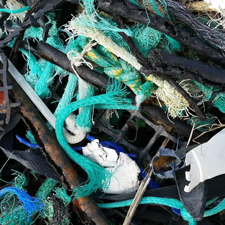 discarded nets