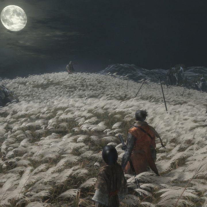 sekiro shadows die twice moon