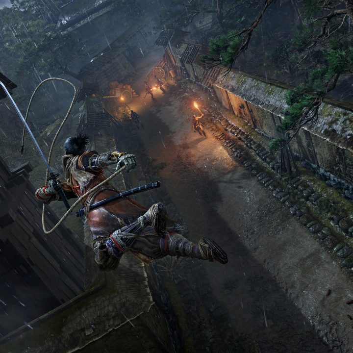 sekiro shadows die twice rope